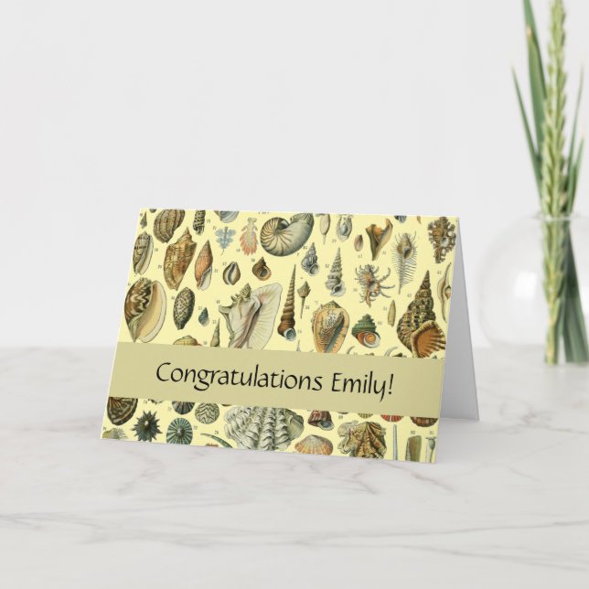 Tarjeta Shell de conchas marinas Mollusk Clam Elegante Art (Anverso)