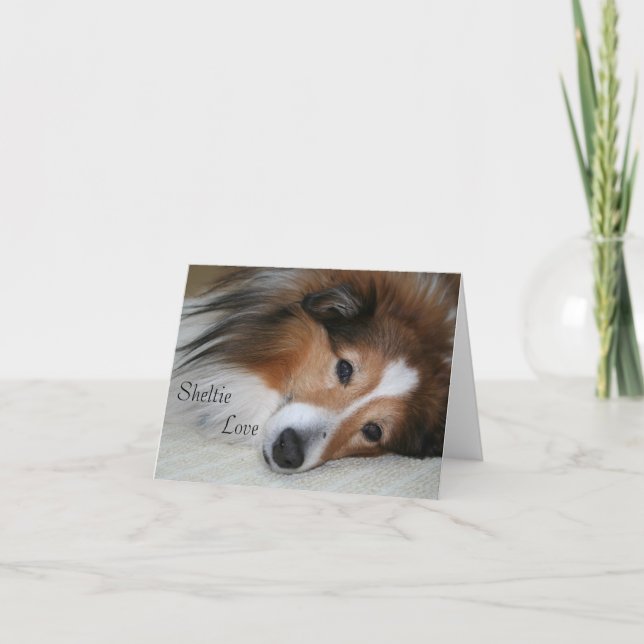 Tarjeta Sheltie Love (Anverso)