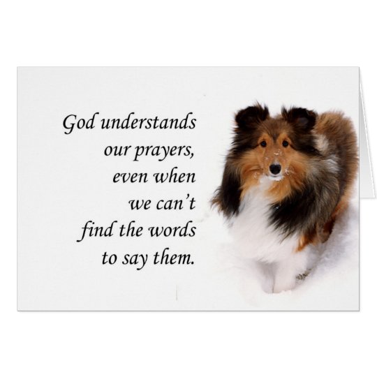 Tarjeta Sheltie que piensa en usted carda