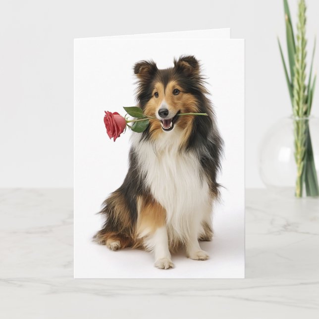 Tarjeta Sheltie Valentine – Corazón Gentil, Amor Verdadero (Anverso)