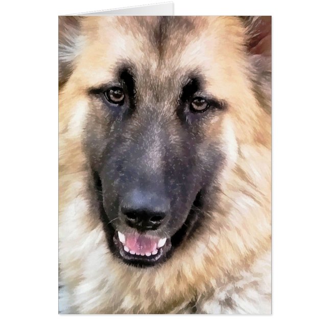 Tarjeta SHEPHERD GERMAN (Frente)