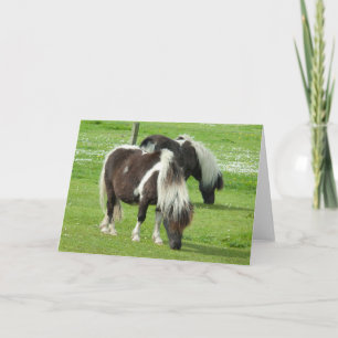 Tarjeta Shetland Paint Ponies de raza pura