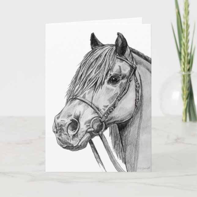 Tarjeta Shetland Pony (Anverso)