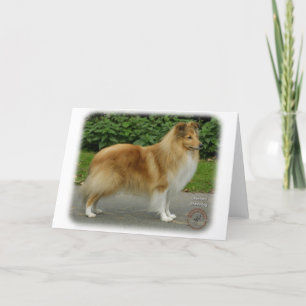 Tarjeta Shetland Sheepdog