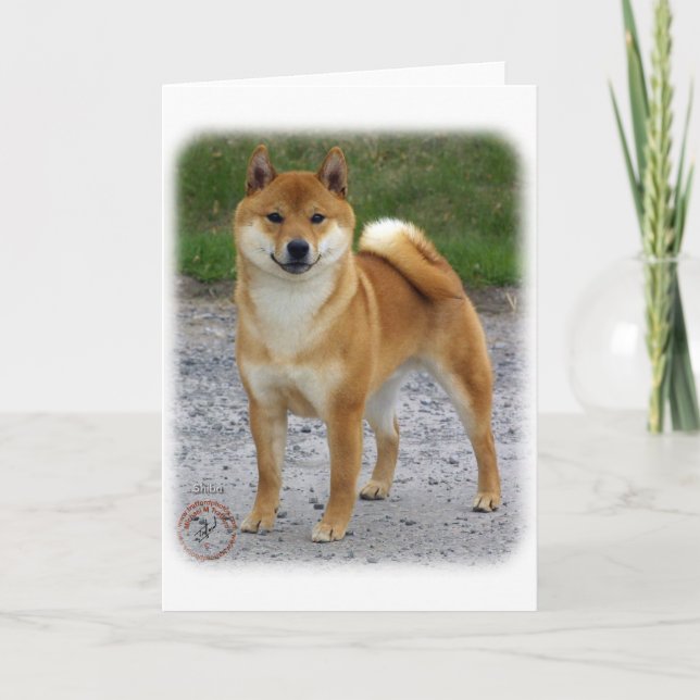 Tarjeta Shiba inu (Anverso)