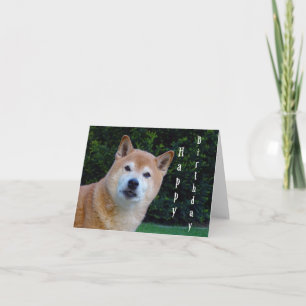 Tarjeta shiba inu feliz cumpleaños
