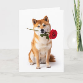 Tarjeta Shiba Inu Valentine – Quiet Devotion