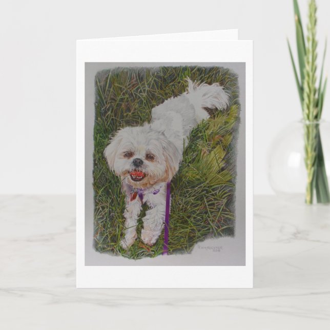 Tarjeta Shih Tzh, un perro de rescate llamado Spirit (Anverso)