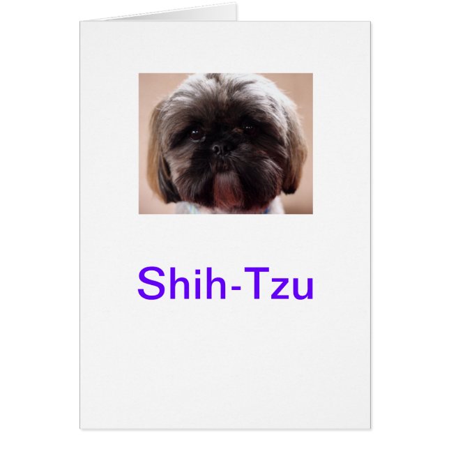 Tarjeta Shih-Tzu (Frente)