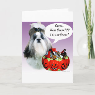 Tarjeta Shih Tzu (groomed) Candy de Halloween