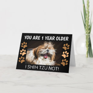 Tarjeta Shih tzu no es gracioso cumpleaños 1 año mayor Sal