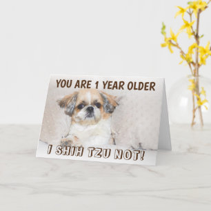 Tarjeta Shih tzu no lindo cumpleaños 1 año mayor Saludo