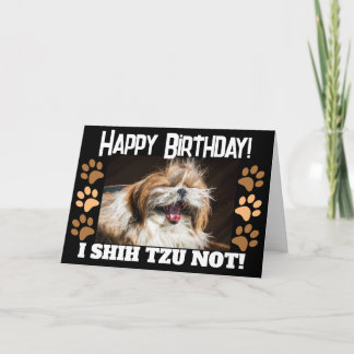 Tarjeta Shih tzu no se ríe divertido Feliz cumpleaños