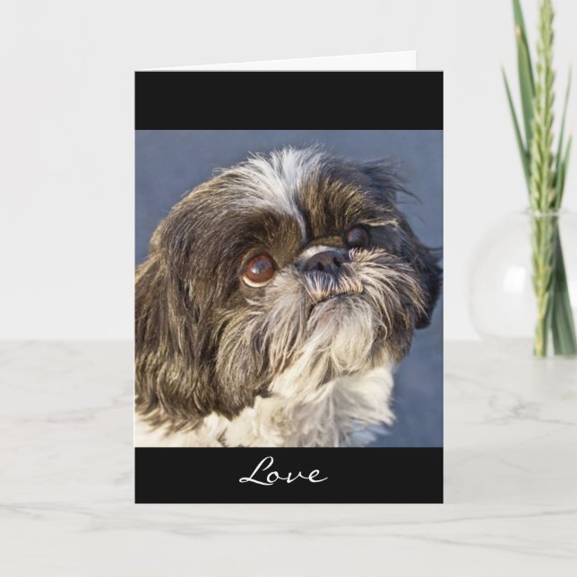 Tarjeta Shih Tzu Puppy Greeting Card - Verse Inside (Anverso)