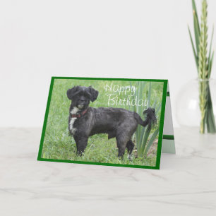 Tarjeta Shorty por Iris-personalizar cualquier ocasión