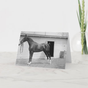Tarjeta Show Horse de 1911