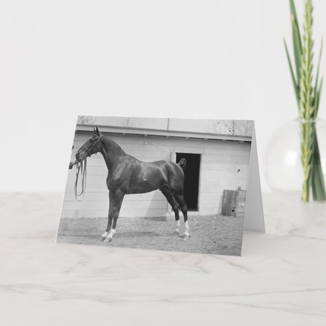 Tarjeta Show Horse de 1911 (Anverso)