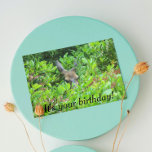 Tarjeta Shy Deer Funny Wildlife Birday<br><div class="desc">¡Una tarjeta de cumpleaños humorística para alguien que está tratando de ocultar su cumpleaños! La tarjeta muestra la imagen de un ciervo escondido en el pincel. Seleccione una tarjeta de estilo mate o brillante.</div>