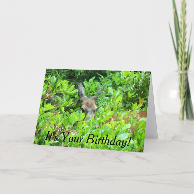 Tarjeta Shy Deer Wildlife Birday (Anverso)