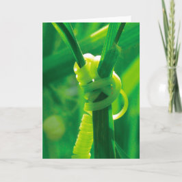 Tarjeta ¡Sí Puedes! Rosie la Remachadora Enredadera de Zar