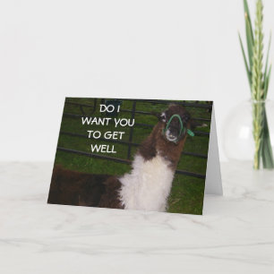TARJETA ¡SÍ! QUIERO QUE TE METAS BIEN
