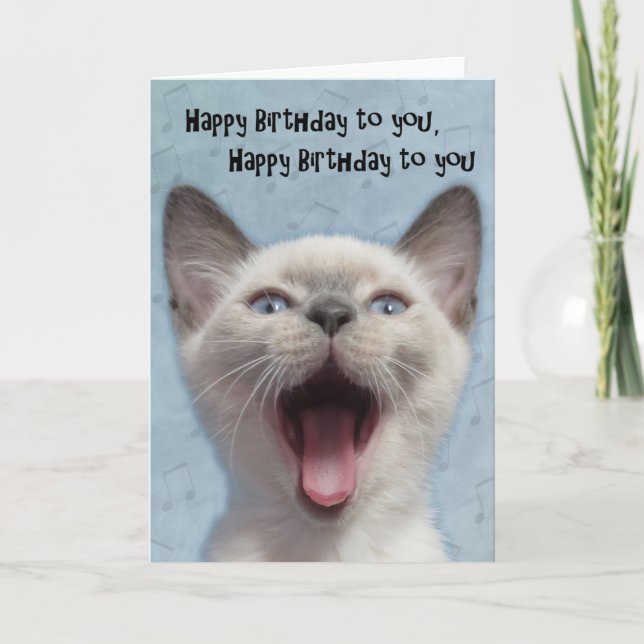 Tarjeta siamesa del gatito del feliz cumpleaños (Anverso)