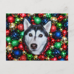 Tarjeta siberiana de adorno de Navidad Husky
