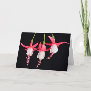 Tarjeta Siéntete mejor Fuchsia floral