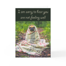 Siento oír que no estás bien, Pug en manta,