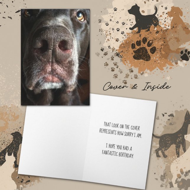 Tarjeta Siento que el laboratorio de chocolate haya nacido (Chocolate Lab close-up snout photograph cover and inside template text greeting card)