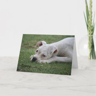 Tarjeta Siento que no te sientas tan bien.