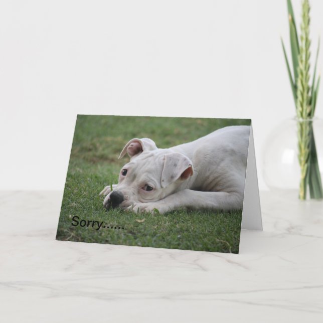 Tarjeta Siento que no te sientas tan bien. (Anverso)