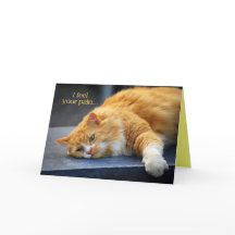 Siento Su Dolor — Siéntete Perfecto Pronto Gato Na