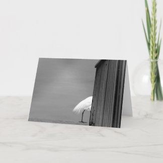 Tarjeta Siento verte ir