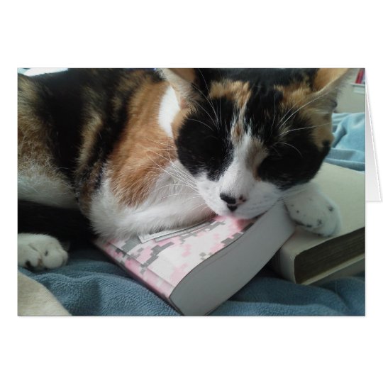 Tarjeta siesta del gato