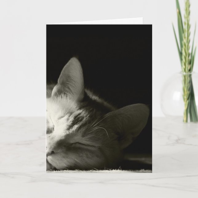 Tarjeta "Siesta del gato " (Anverso)