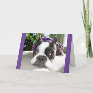 Tarjeta ¡Siesta pequeñaja… o DOS! Lola B. Boston