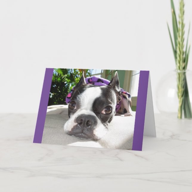 Tarjeta ¡Siesta pequeñaja… o DOS! Lola B. Boston (Anverso)