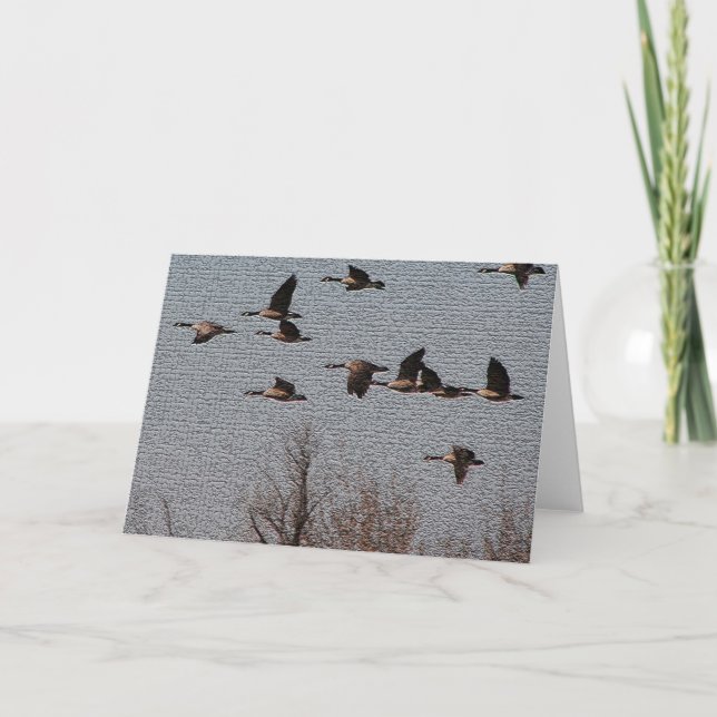 Tarjeta Siga su corazón - gansos (Anverso)