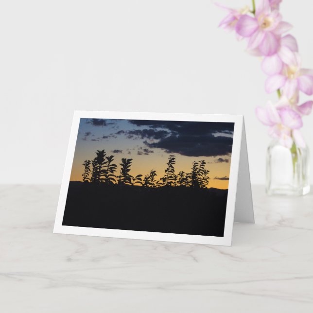 Tarjeta Silhouette de hojas de noche (Orquídea)