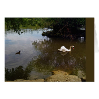 Tarjeta Silken Swan