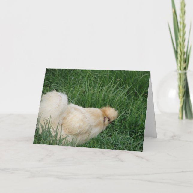Tarjeta Silkie Rooster (Anverso)