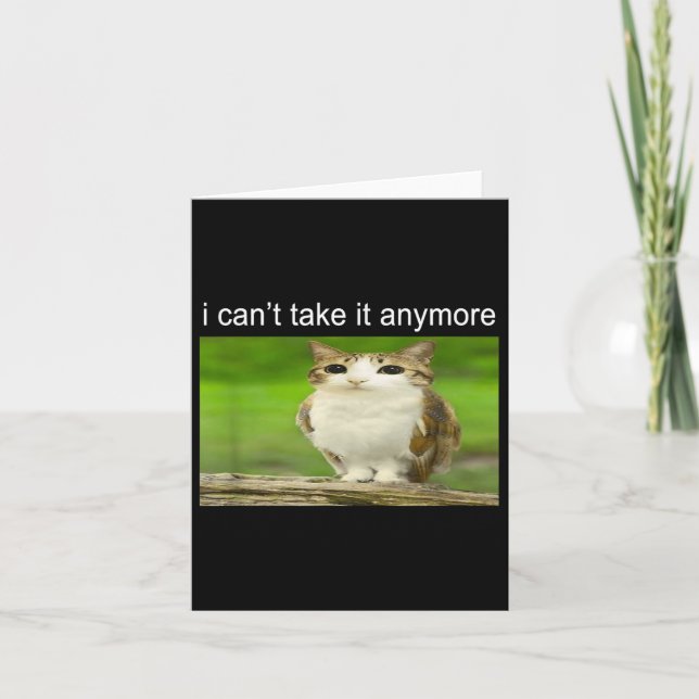 Tarjeta Silly Owl Cat Meme I Can't Take It Anymore  (Anverso)