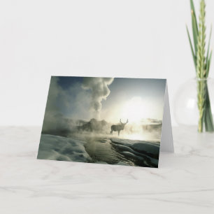 Tarjeta Silueta de Elk al amanecer en Castle Geyser