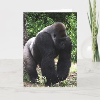 Tarjeta Silverback Malé Gorila caminando cabeza abajo.jpg