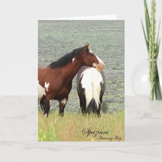 Tarjeta silvestre~ Mustangs norteamericanos (Anverso)