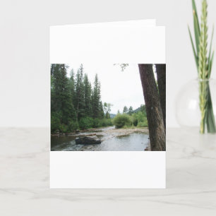 Tarjeta Silvicultura Pecos, Nuevo México