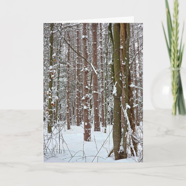 Tarjeta Simpatía Bosque Invernal Tranquilo (Anverso)