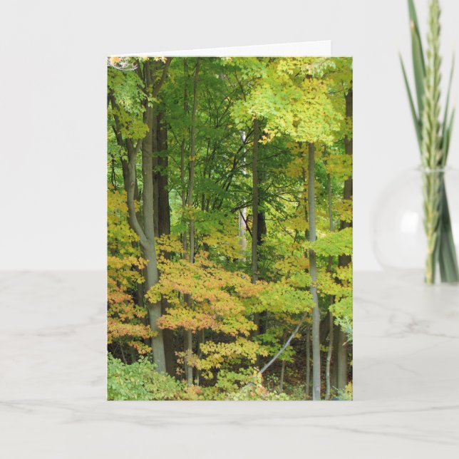 Tarjeta Simpatía - Bosque silencioso (Anverso)