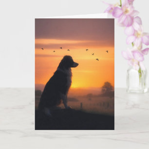 Tarjeta Simpatía Canina Border Collie en Puesta de Sol Con